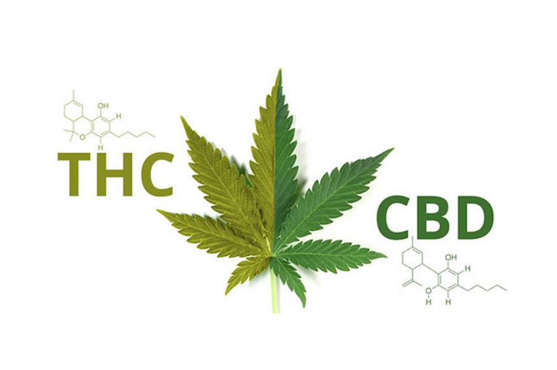 Does CBD contain THC?