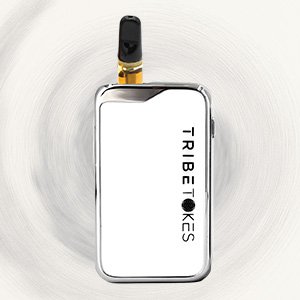 Tribe-Mini cart battery